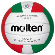 L'avatar di Volley